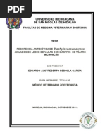 Download Resist en CIA a de Staphylococcus Aureus Islados de Leche de Vacas Con Mastitis de Tjaro Michoacn by Eliseo Carpio SN81300940 doc pdf