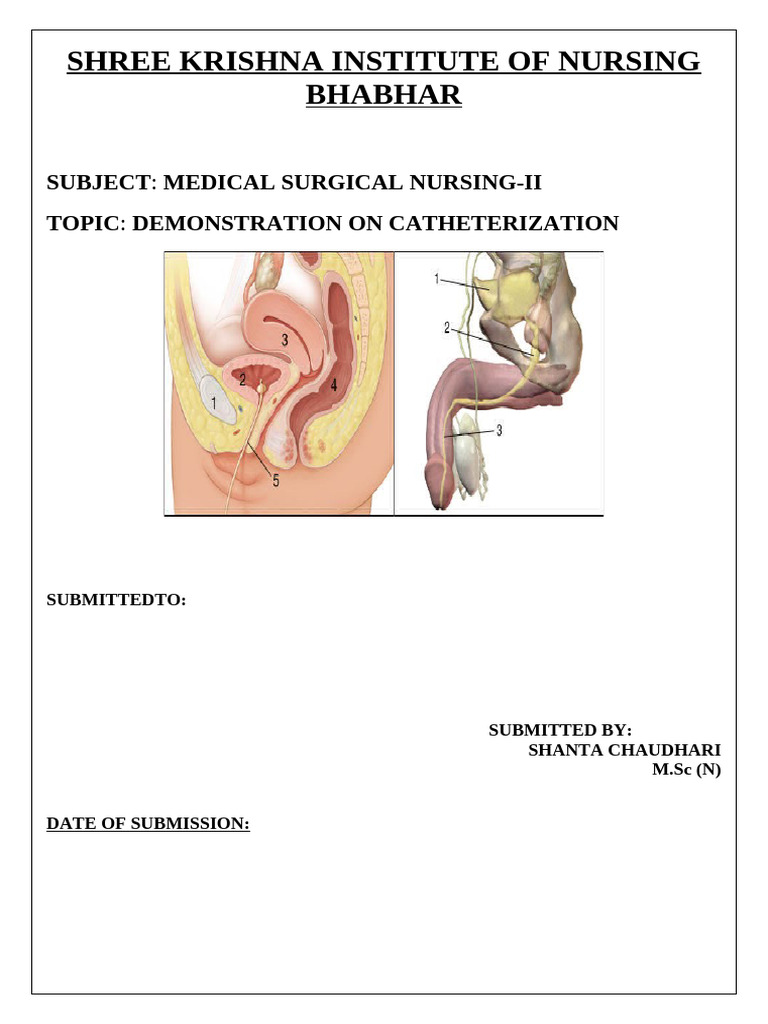 Catheterization Techniques in Nursing | PDF | Urinary Incontinence ...