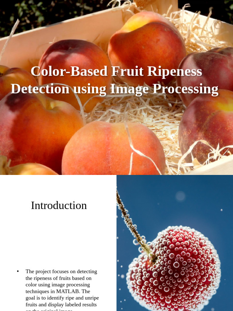 Fruit Ripeness Detection via Image Processing | PDF | Vision | Hue