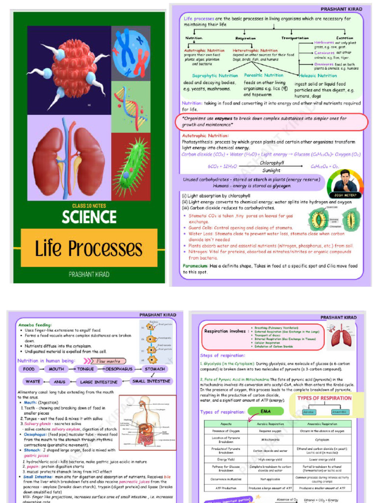 Biology | PDF