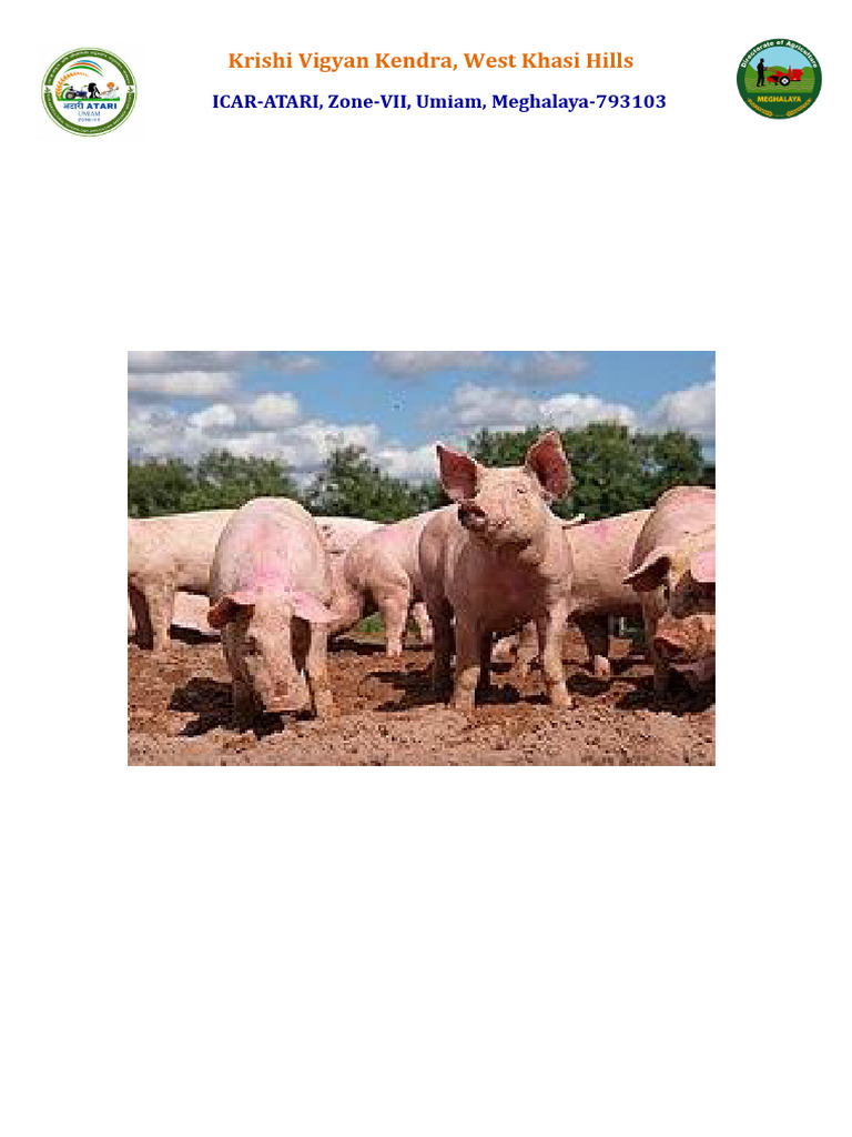 Pig Production Training Manual | PDF | Pig | Wild Boar