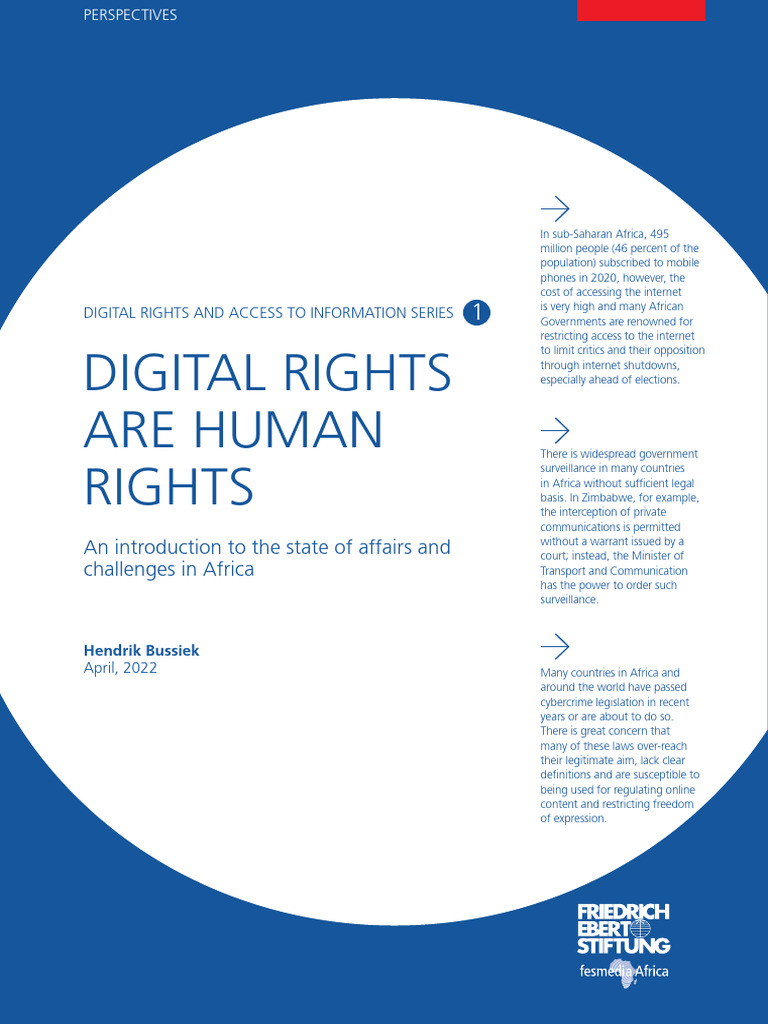 Digital Rights Challenges in Africa | PDF | Internet | Hatred