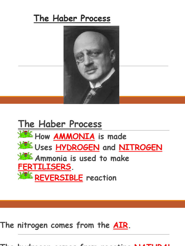 Understanding the Haber Process for Ammonia | PDF