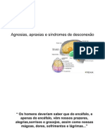 Agnosias, Apraxias e Síndromes de Desconexão