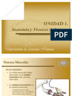 Anatomia 3