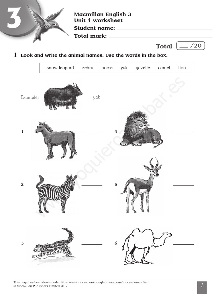 Macmillan English Language Book 3 Unit 4 PDF