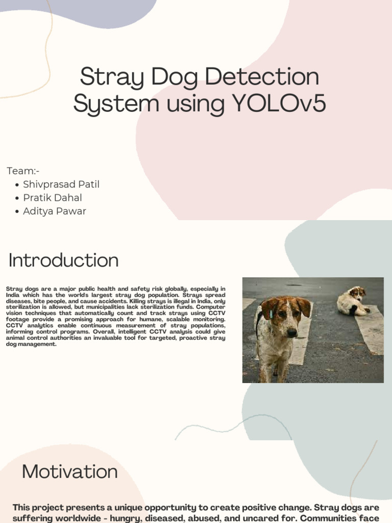 AI System for Stray Dog Detection | PDF | Closed Circuit Television | Dogs