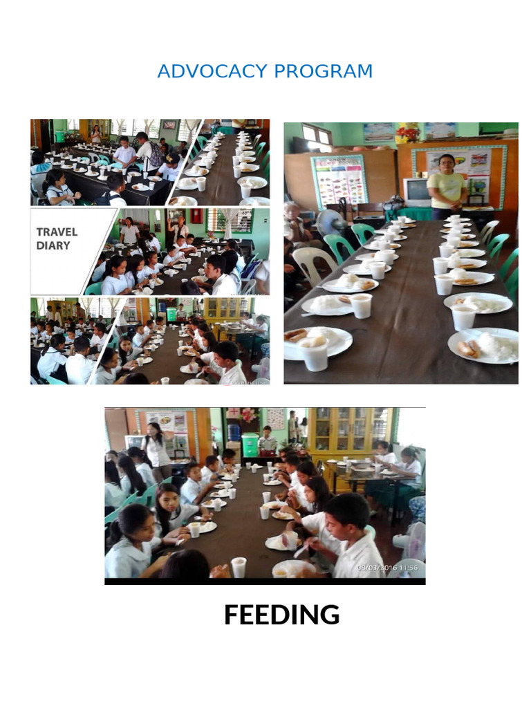 Advocacy Program Activities Overview | PDF