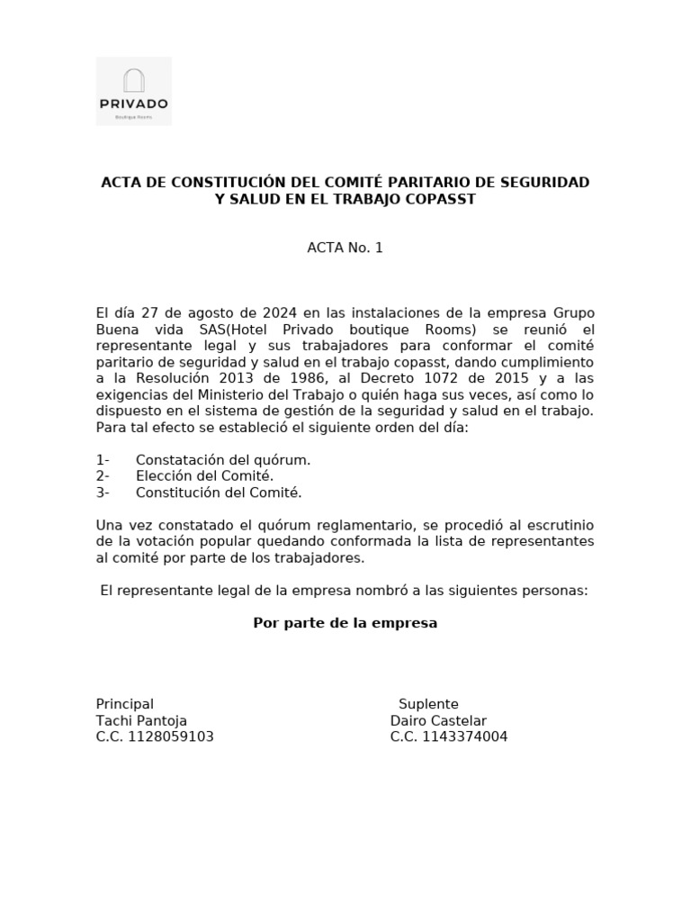 Acta de Constitucion Del Copasst Privado | PDF