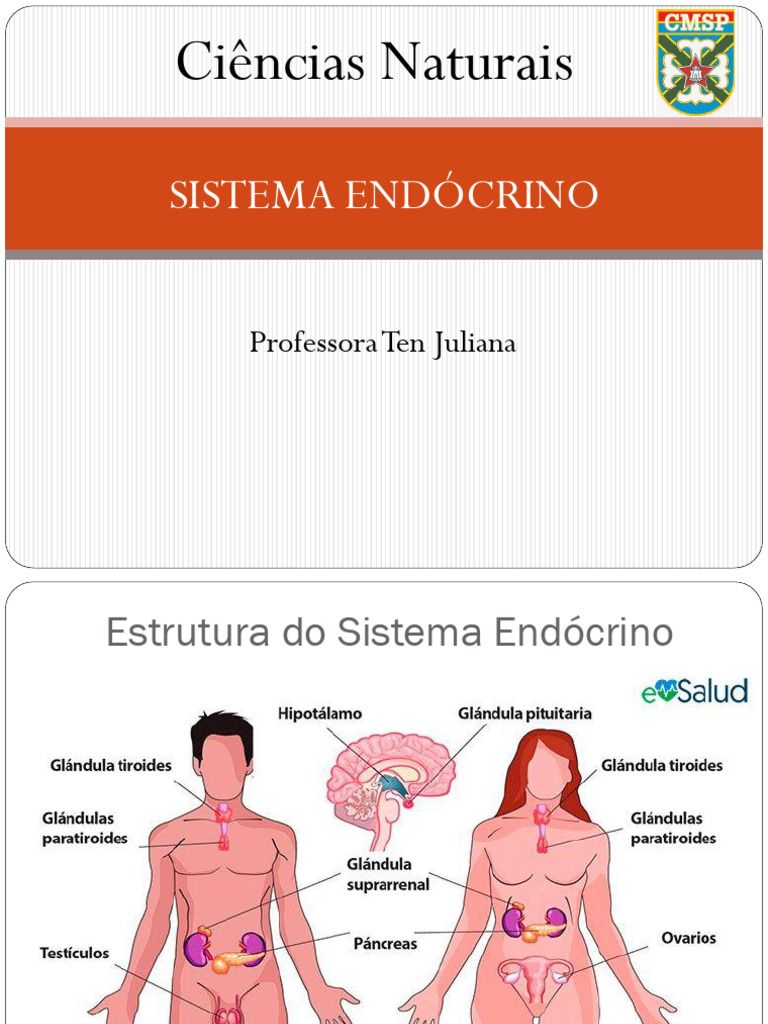 Aula Sistema Endócrino | PDF | Hormônio | Sistema endócrino