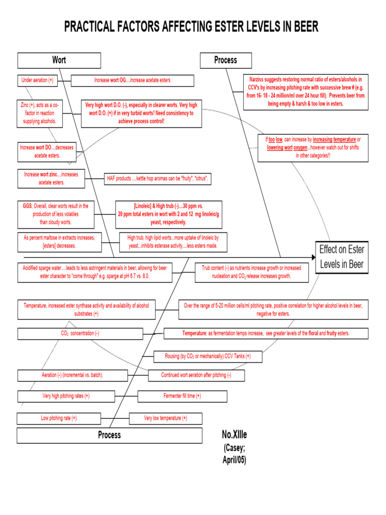 ASBC_Fishbone_XIIIe | PDF | Beer | Ester