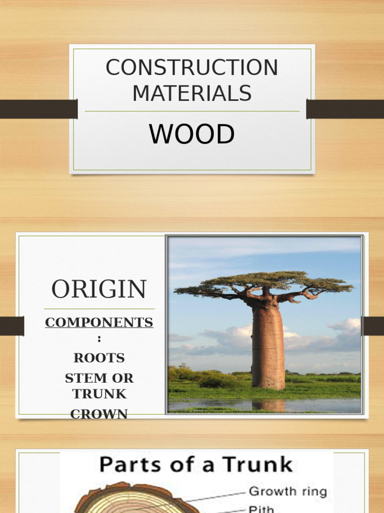 Classifications of Wood | PDF | Plywood | Wood
