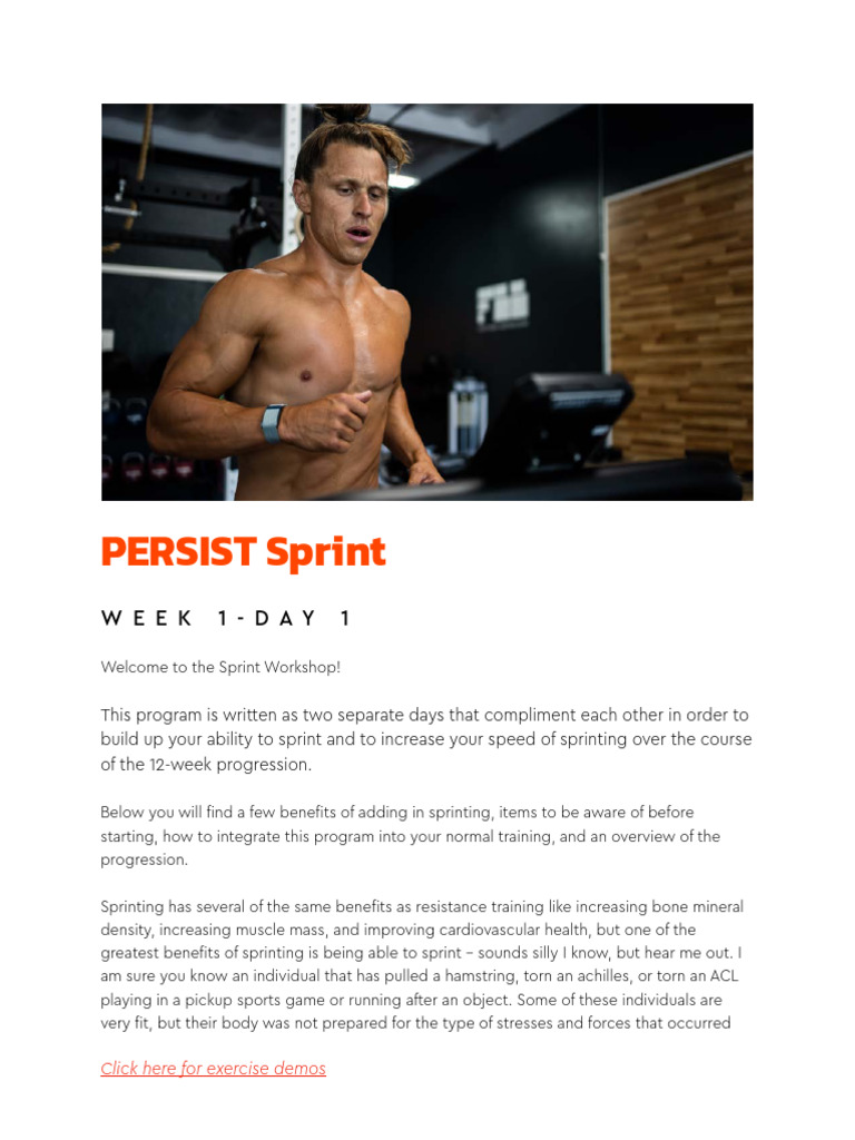 PERSIST Sprint Training Program Guide | PDF | Walking | Knee