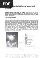 Download Jenis lumut by Murni Setya Alfarizi SN81323729 doc pdf