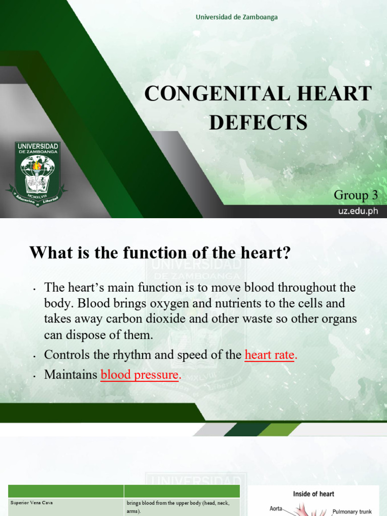 Congenital Heart Defects Overview | PDF | Heart | Congenital Heart Defect
