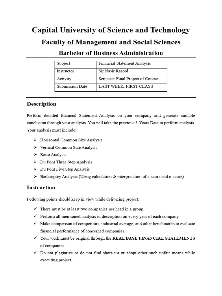 FSA Project Guidelines and Analysis | PDF | Dividend | Free Cash Flow