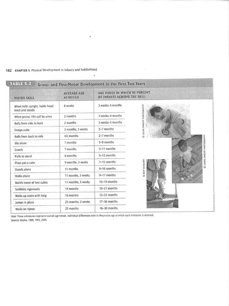 Gross and Fine Motor Milestones | PDF
