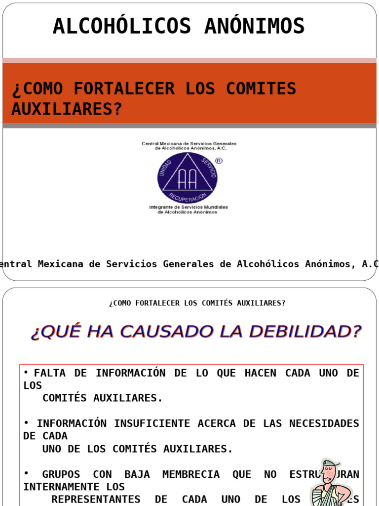 Como Fortalecer Los Comites Auxiliares | PDF