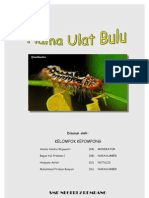 Hama Ulat Bulu