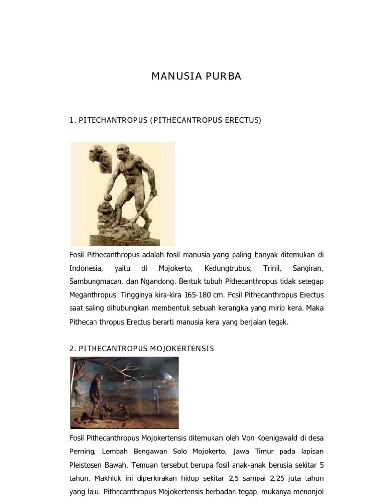 Manusia Purb1