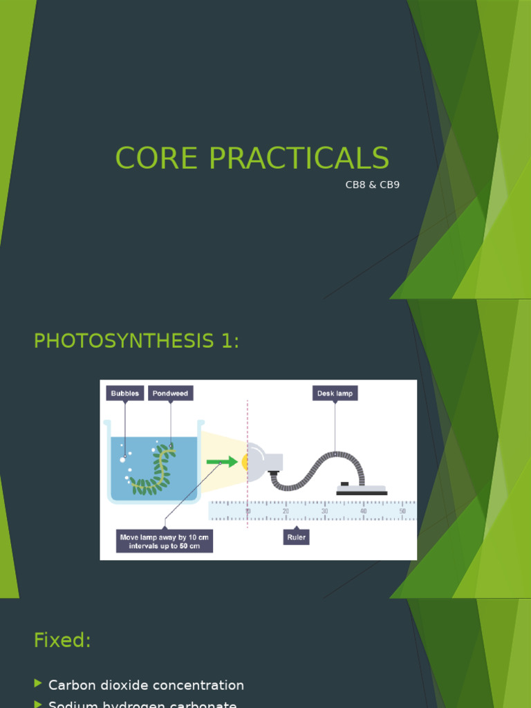 PCC Oxidation in Photosynthesis Experiments | PDF