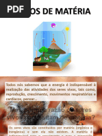 Ciencias - Aula Ciclo Da Materia e o Fluxo de Energia - 4 Ano | PDF ...