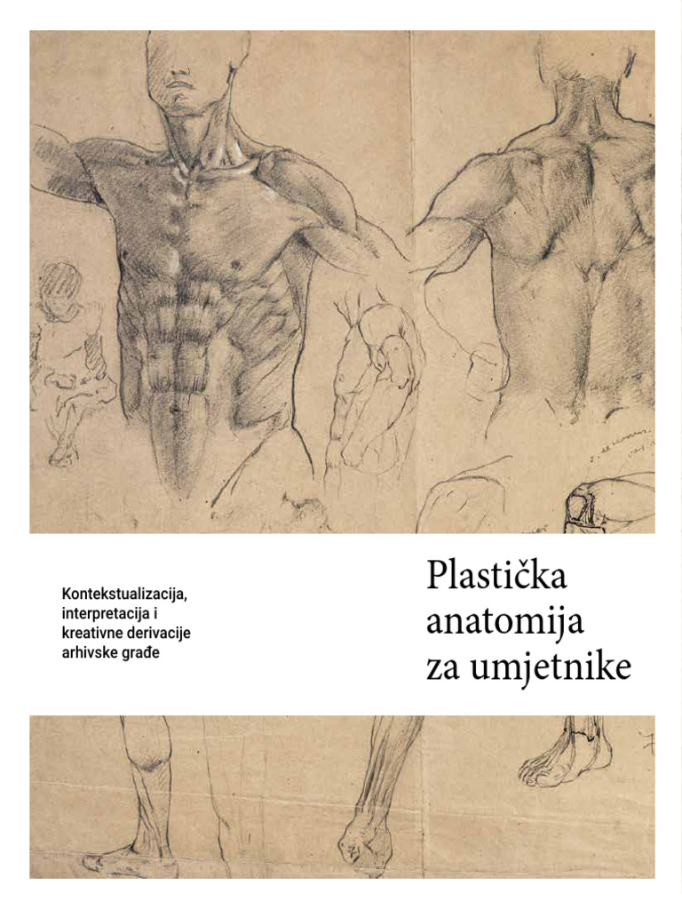 Plasticka Anatomija Za Umjetnike Konteks | PDF