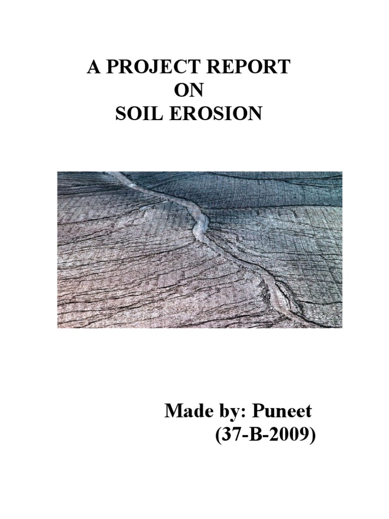 Soil Erosion: Causes, Effects, and Solutions | PDF | Erosion | Surface ...