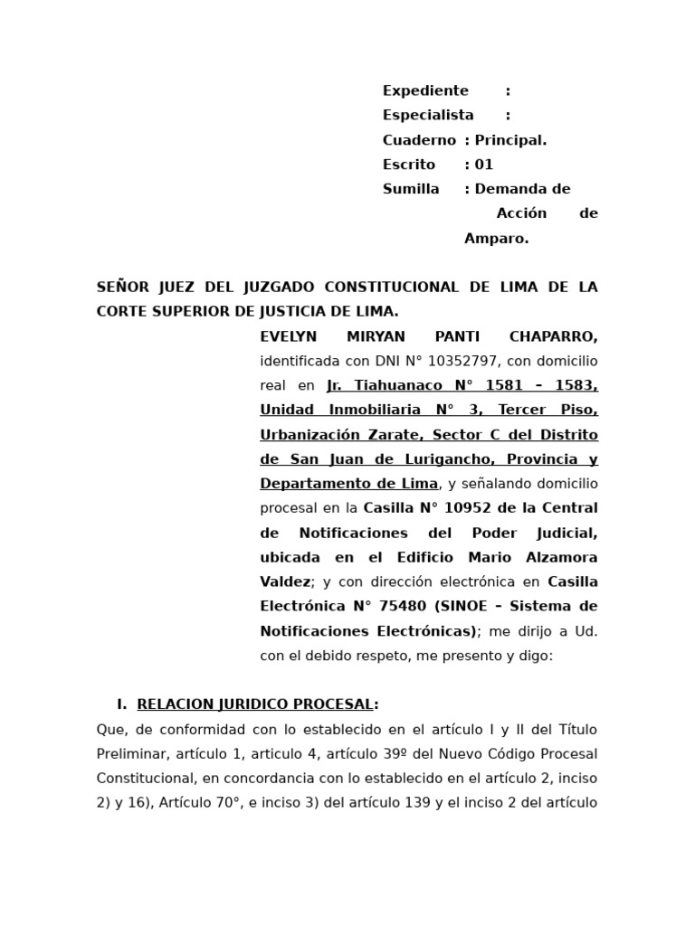 Demanda de Amparo por Violación de Derechos | PDF | Derecho ...