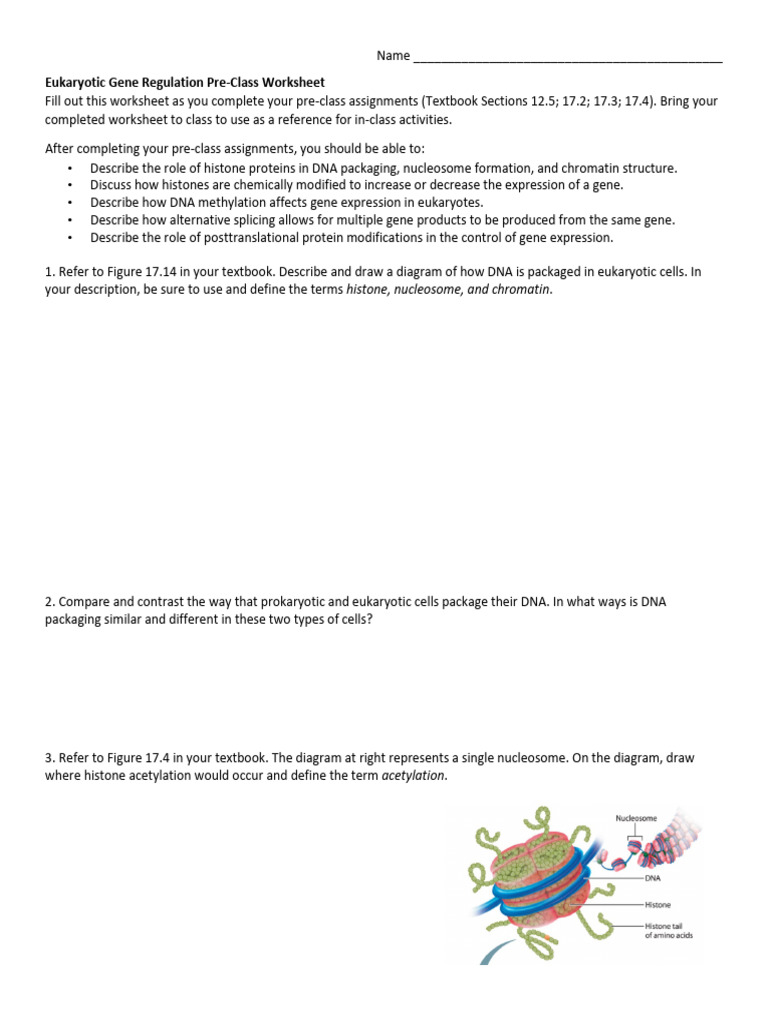 DNA Packaging in Eukaryotic Cells | PDF