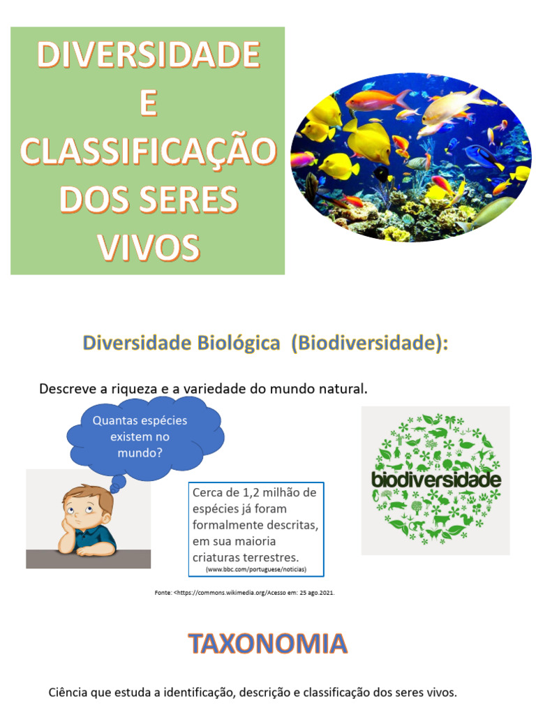 Diversidade e Classificação dos Seres Vivos | PDF | Biodiversidade ...