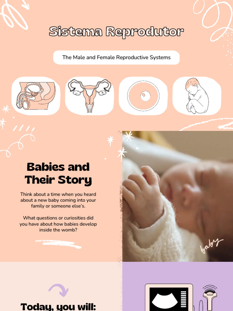 Understanding Human Reproductive Systems | PDF | Menstrual Cycle ...