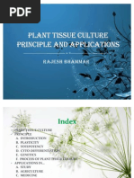 Plant Tissue Culture rajesh bhammar