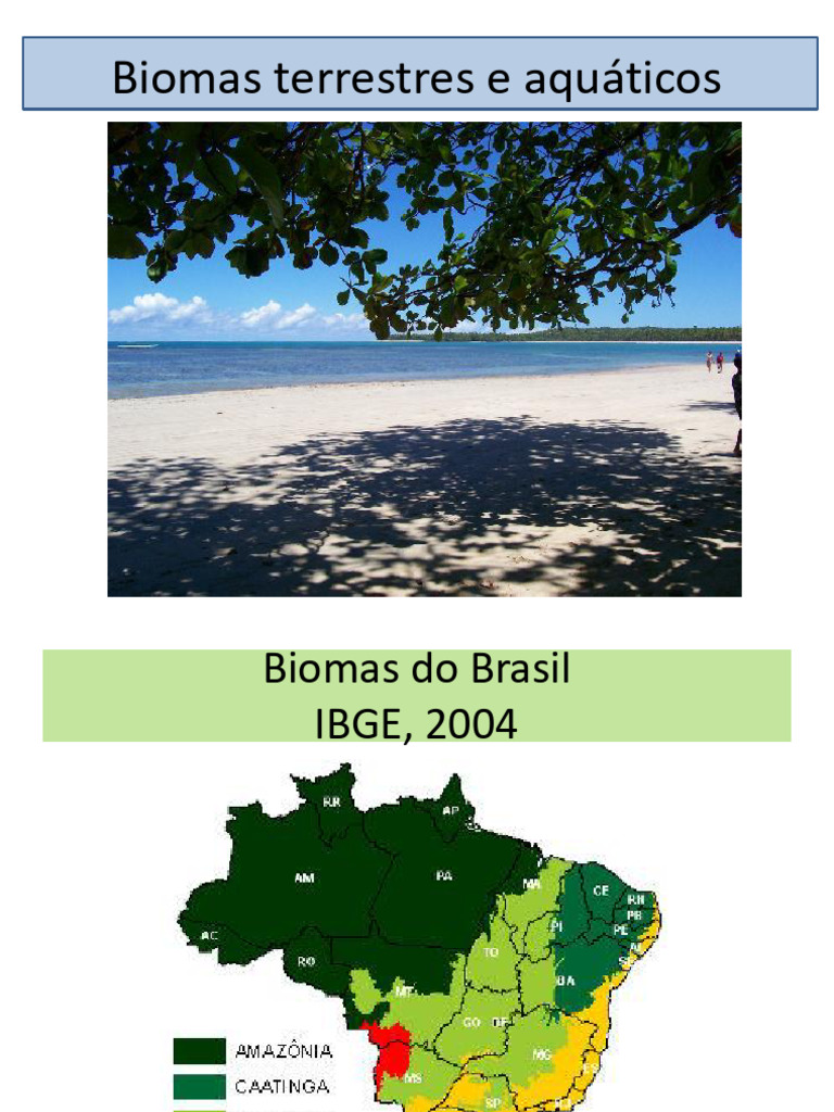 Biomas Terrestres e Aquáticos do Brasil | PDF | Água | Oceanos