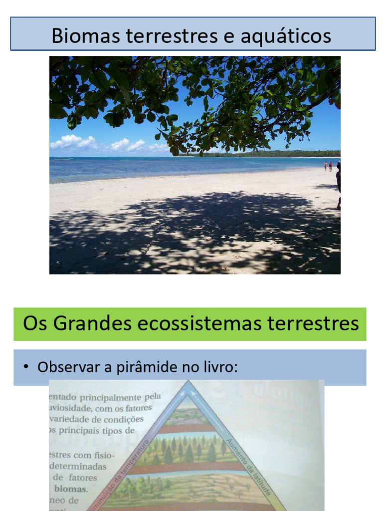 Biomas Terrestres e Aquáticos: Tipos e Características | PDF | Deserto ...