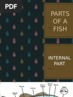 External Anatomy of Bony Fish Explained | PDF | Science & Mathematics