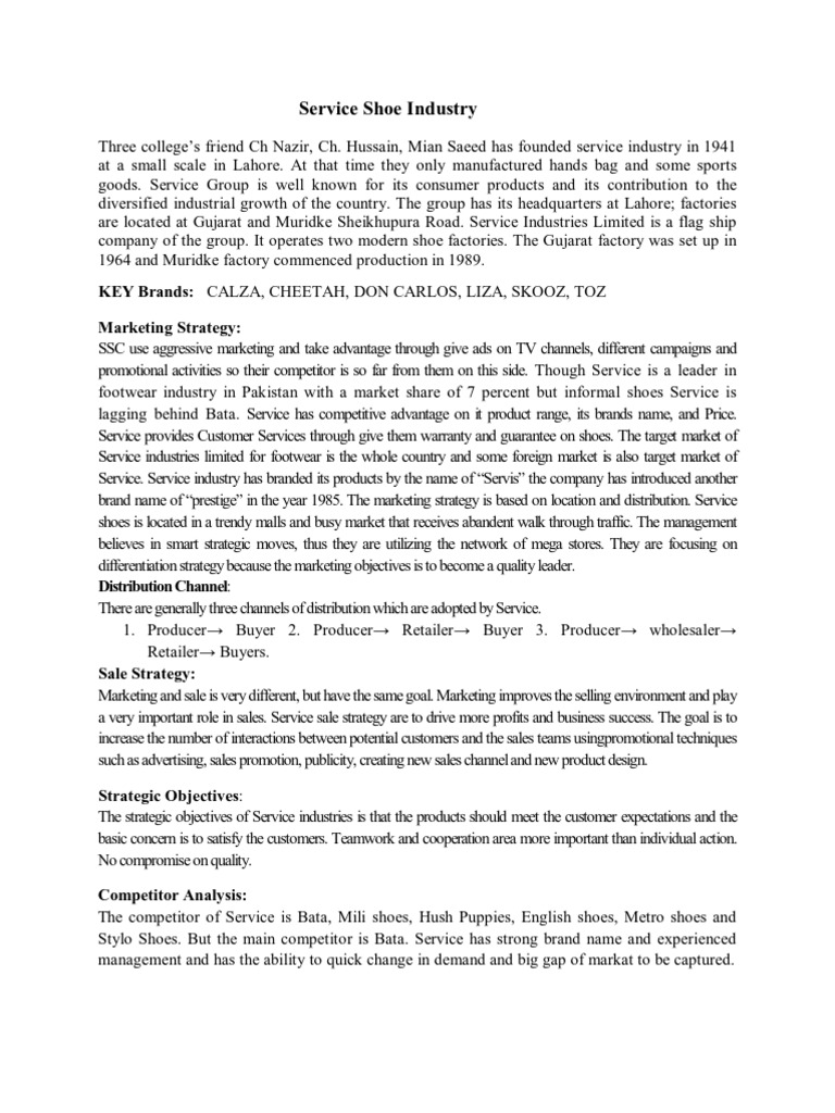 WHAT IS THE DEFINITION OF SUMMERY intelligence overview