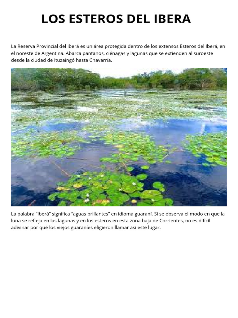 Esteros del Iberá: Biodiversidad y Naturaleza | PDF