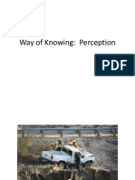 Way of Knowing: Perception