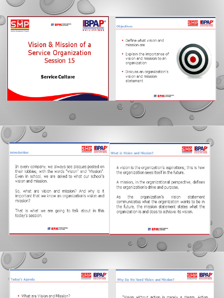 LESSON13 Vision - Mission of A Service Org | PDF
