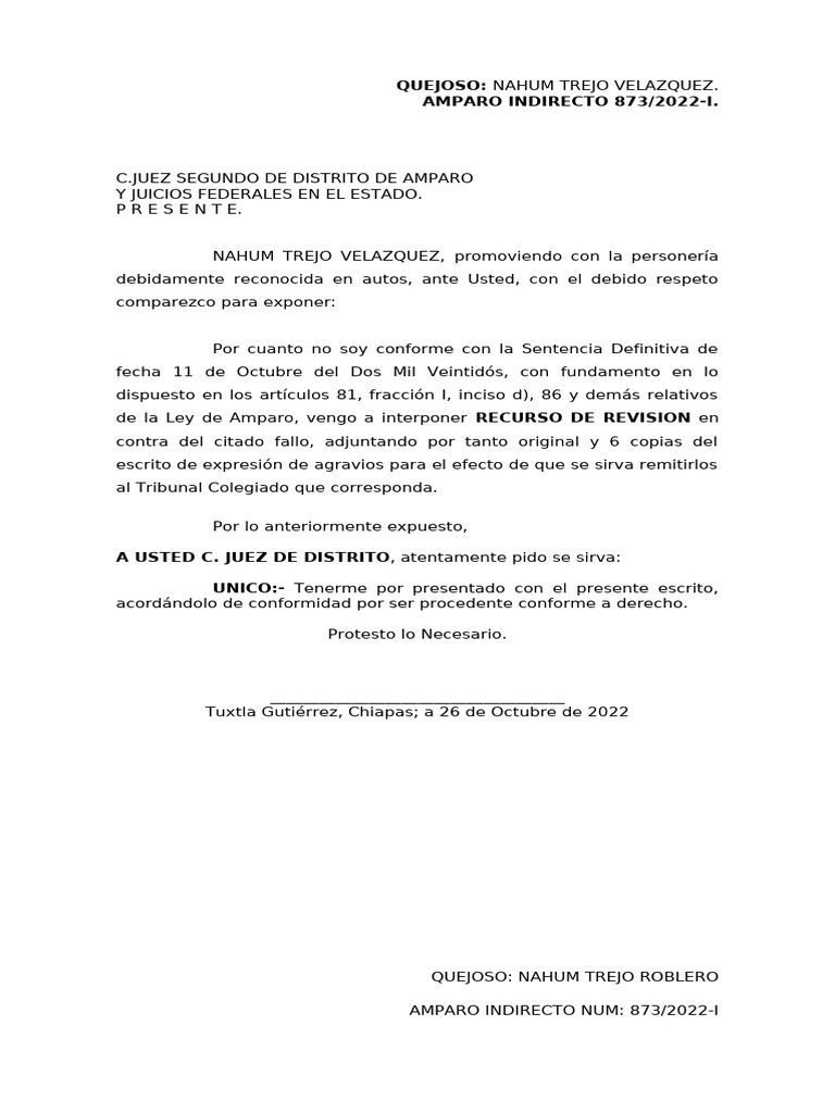 Recurso de Revisión Amparo 873/2022-I | PDF | Sentencia (ley) | Caso de ley