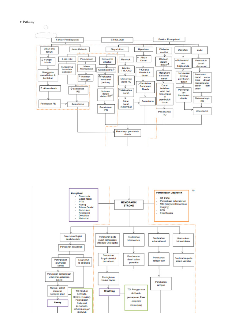 Pathway Hs | PDF