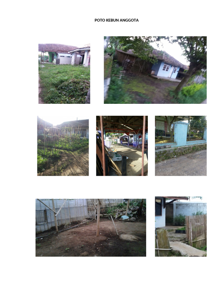 Poto KRPL Kebun Bibit, Demplot Dan Kelompok | PDF