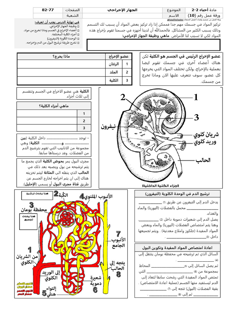 Bio 9 | PDF