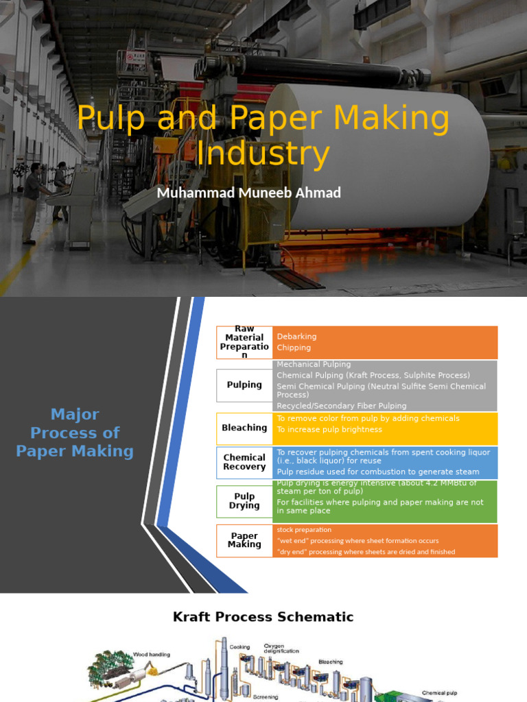 Pulp and Paper Production Processes Guide | PDF | Pulp (Paper) | Paper