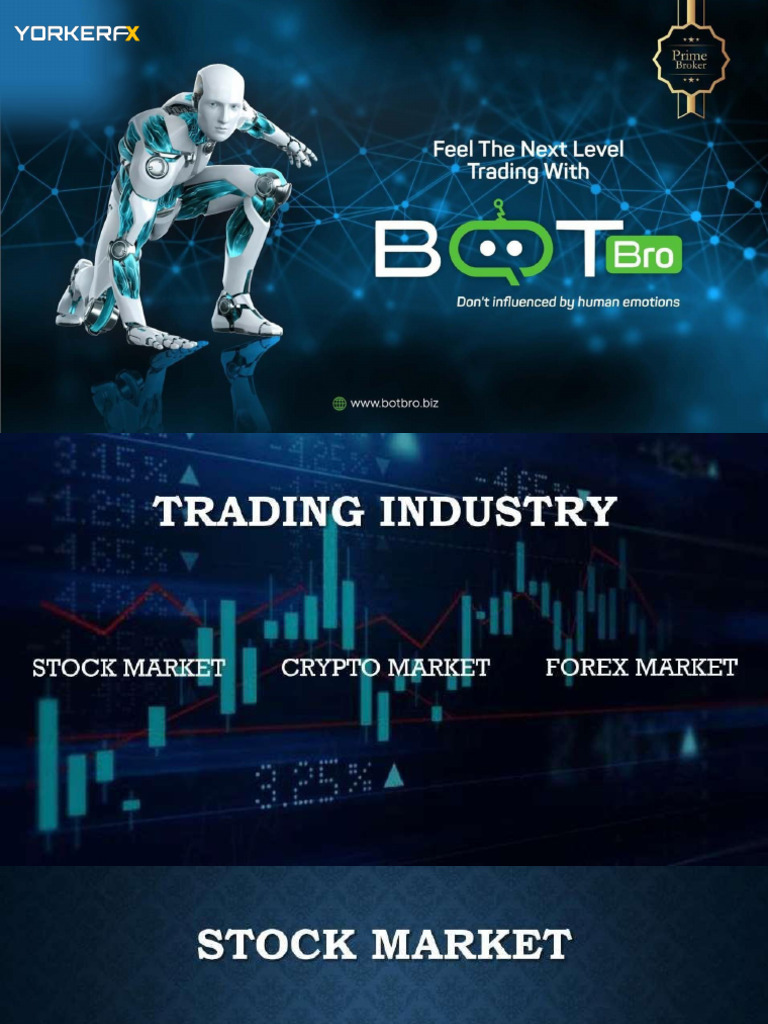Bausch & Lomb Investment Insights | PDF