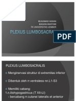Plexus Lumbosacral Ham [Dr. Hasan]