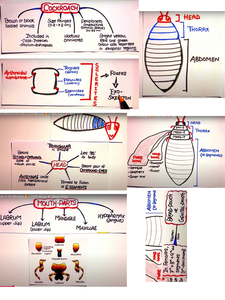 Cockroach KV | PDF