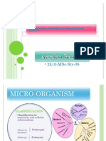 Role of Micor-Org
