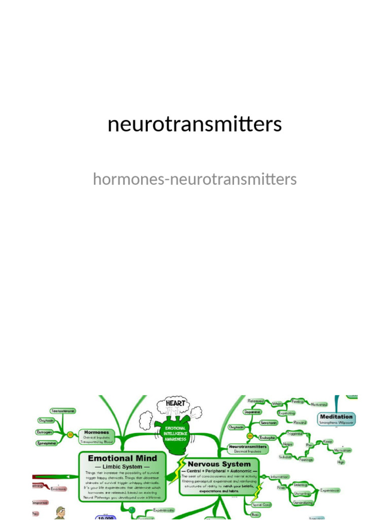 NEUROTRANSMITTERS TYPES AND FUNCTIONS PDF visual data 5